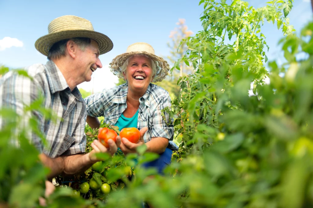 Accompagnement des personnes âgées par des jeunes retraités